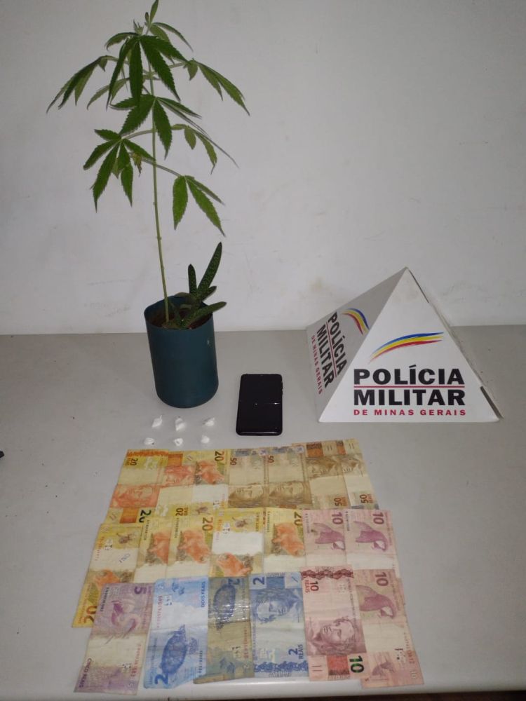 Polícia apreende seis papelotes de cocaína e um pé de maconha em Nova Serrana