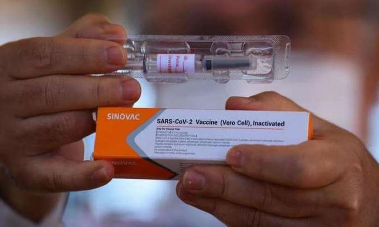 Primeira fase da vacinação com a CoronaVac em Minas Gerais prevê imunizar 275.088 pessoas