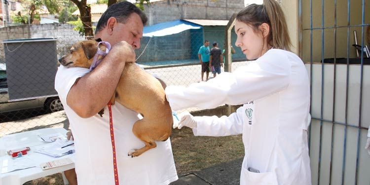 Começou neste sábado em Pará de Minas a campanha de vacinação antirrábica para cães e gatos