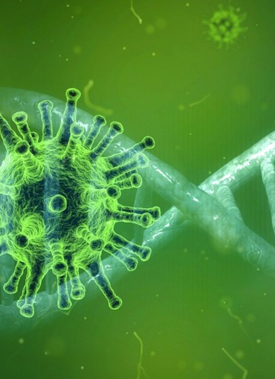 Minas Gerais superou nesta quarta-feira a marca de 2,03 milhões de casos confirmados da Covid-19