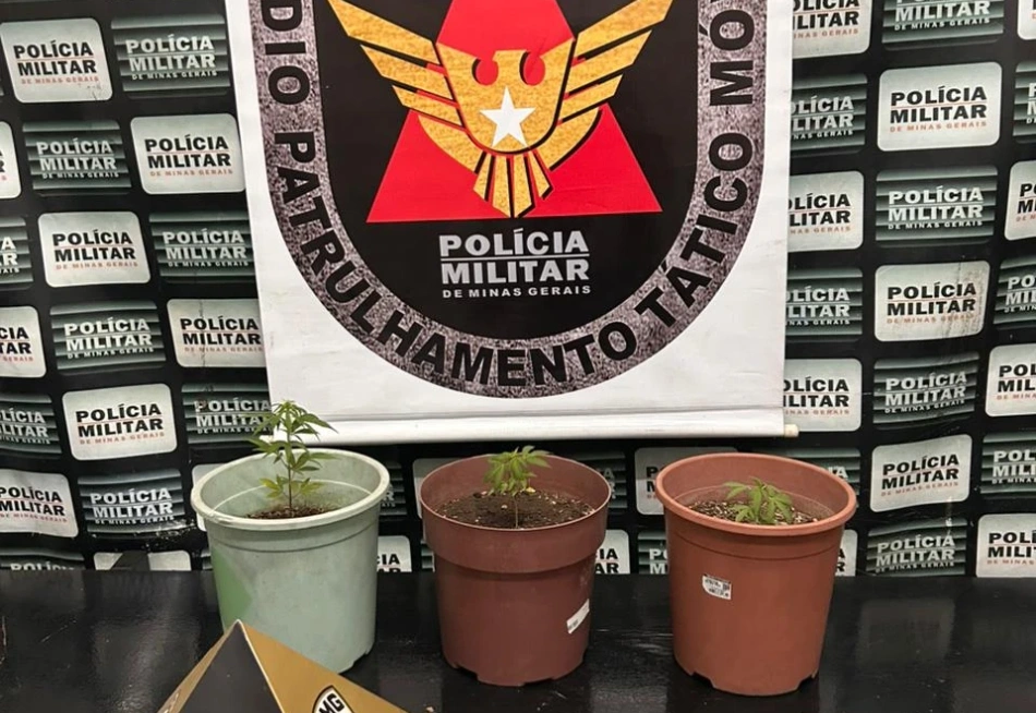 Jovem é preso por tráfico de drogas em Pará de Minas