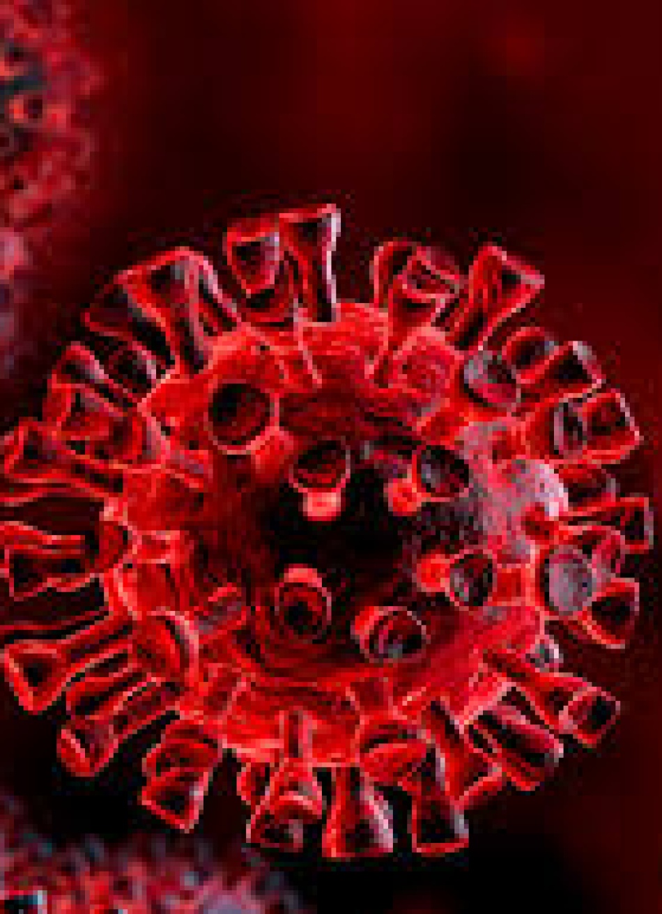 Minas Gerais bateu o recorde de mortes pela Covid-19 nas últimas 24 horas