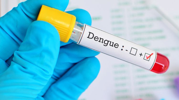 Boletim divulgado nesta semana pela Secretaria de Estado de Saúde indicou aumento nos casos de dengue em Minas Gerais