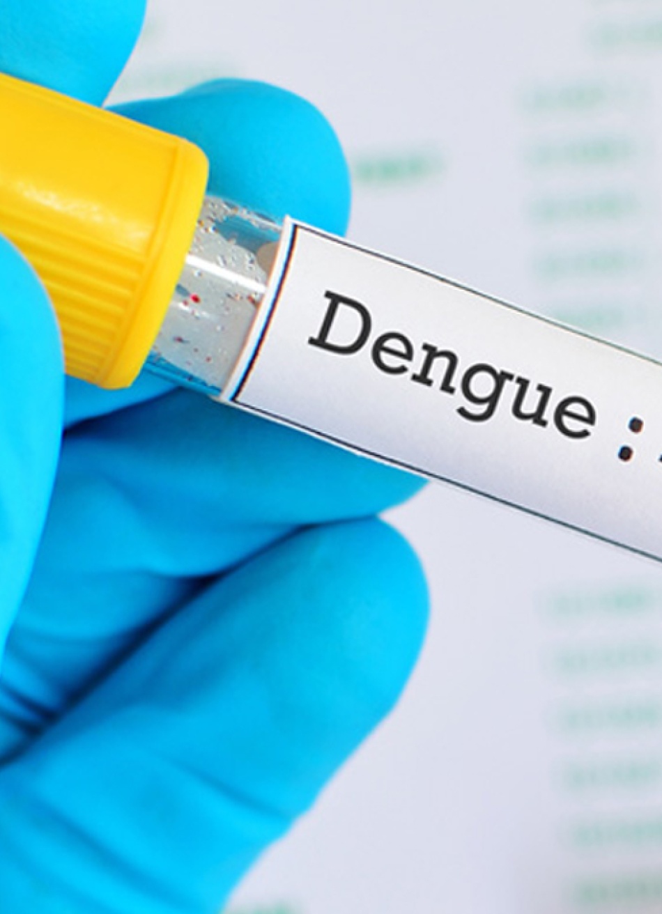 Boletim divulgado nesta semana pela Secretaria de Estado de Saúde indicou aumento nos casos de dengue em Minas Gerais