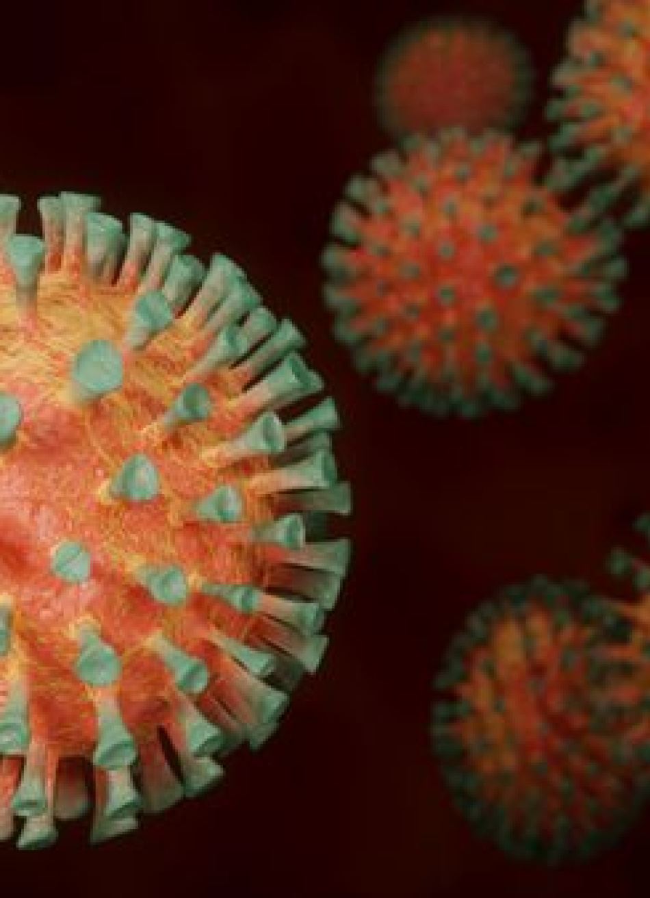 Minas Gerais registrou 9.207 novos casos confirmados e 433 mortes pela Covid-19 nas últimas 24 horas