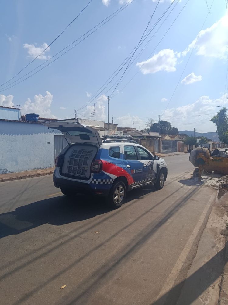 Guarda Civil Municipal prende homem por furto no bairro Santos Dumont