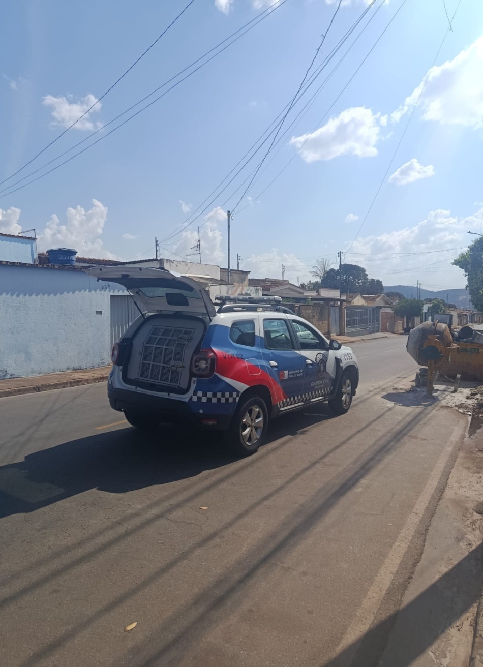 Guarda Civil Municipal prende homem por furto no bairro Santos Dumont