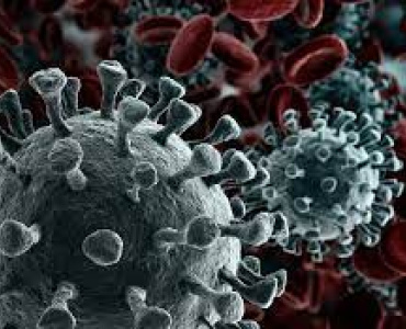 Com 1.542 novos casos confirmados da Covid-19 nas últimas 24 horas, Minas Gerais já registrou 2.187.863 exames positivos da doença