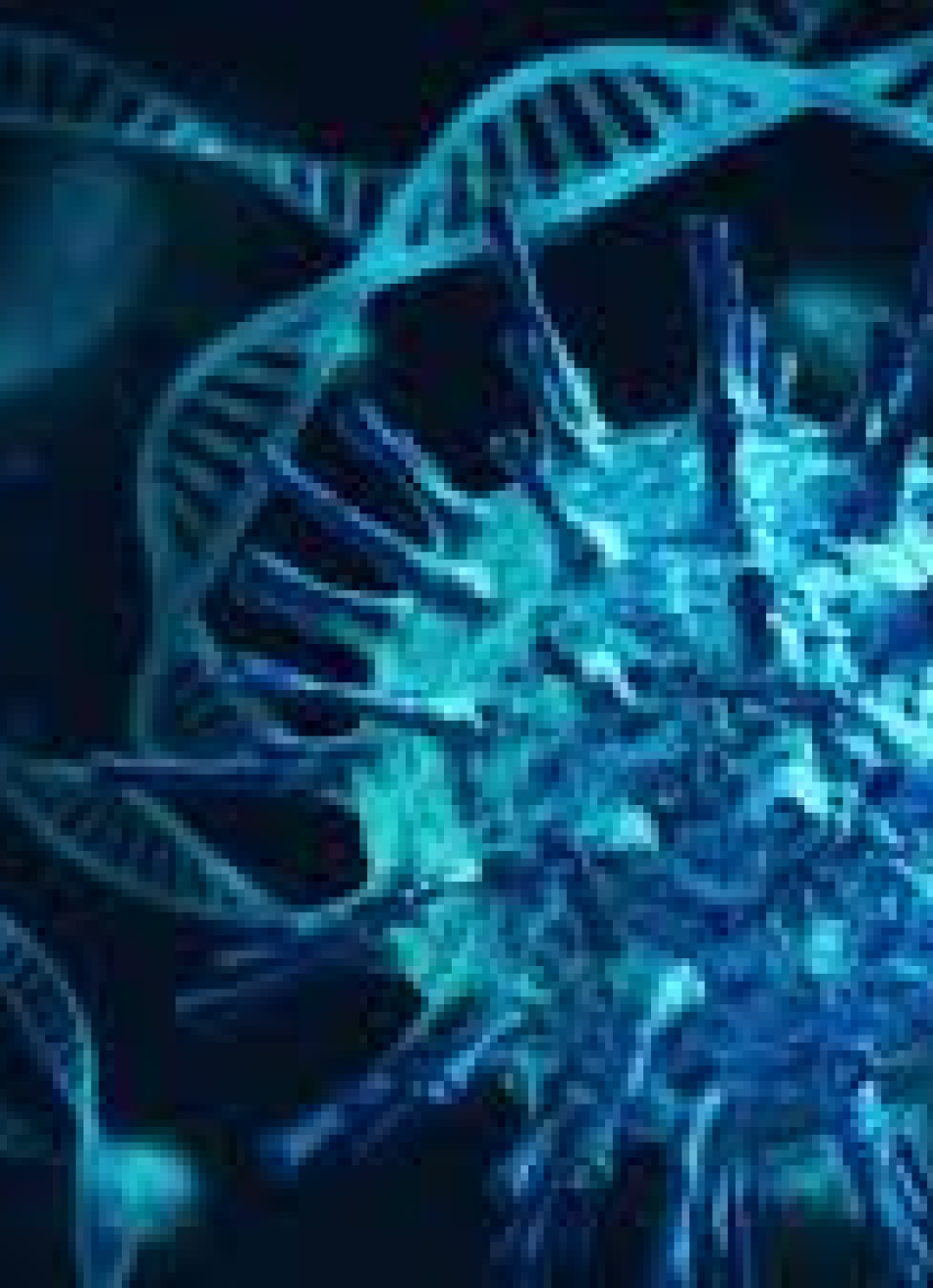 Pará de Minas registrou 12 novos casos confirmados da Covid-19 nas últimas 24 horas