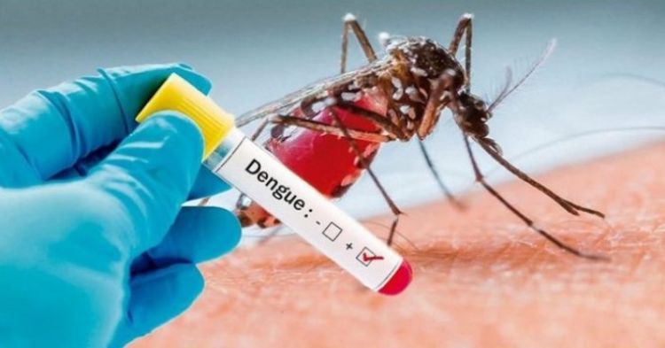 Minas Gerais registrou 24.486 casos prováveis de dengue