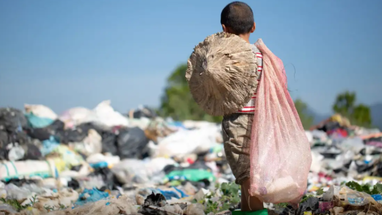 MEC divulga material educativo sobre combate ao trabalho infantil