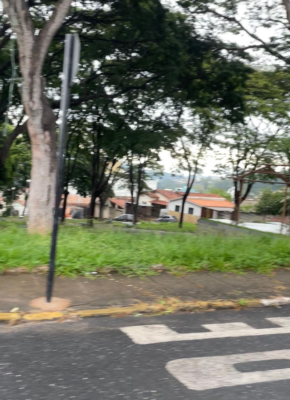 Matagal nas praças preocupa, buscamos a resposta.