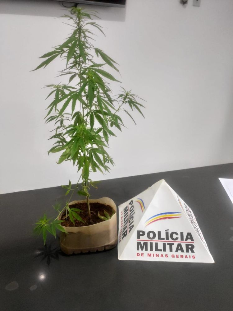 Polícia Militar apreende drogas e prende infratores em operações na cidade de Papagaios