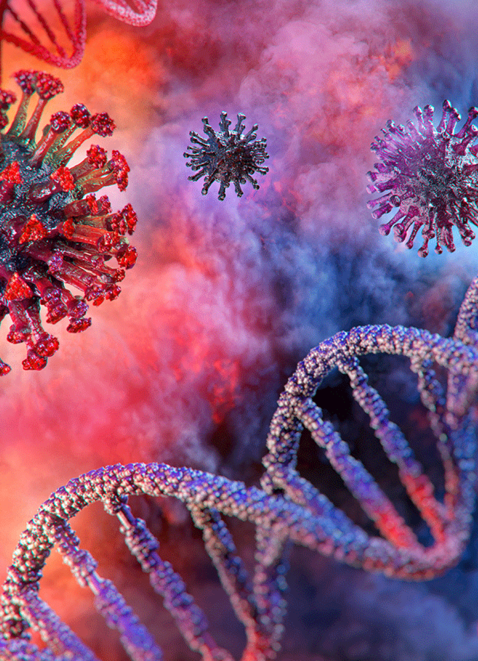 Minas Gerais registrou 6.000 novos casos confirmados da Covid-19 nas últimas 24 horas