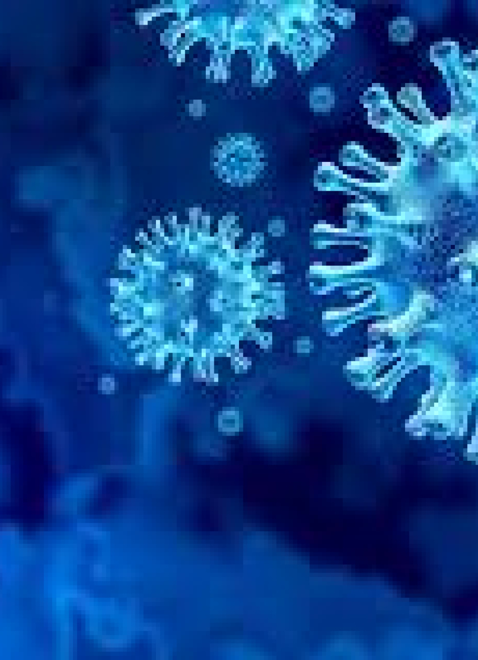 Pará de Minas registrou duas novas mortes pela Covid-19 nas últimas 24 horas