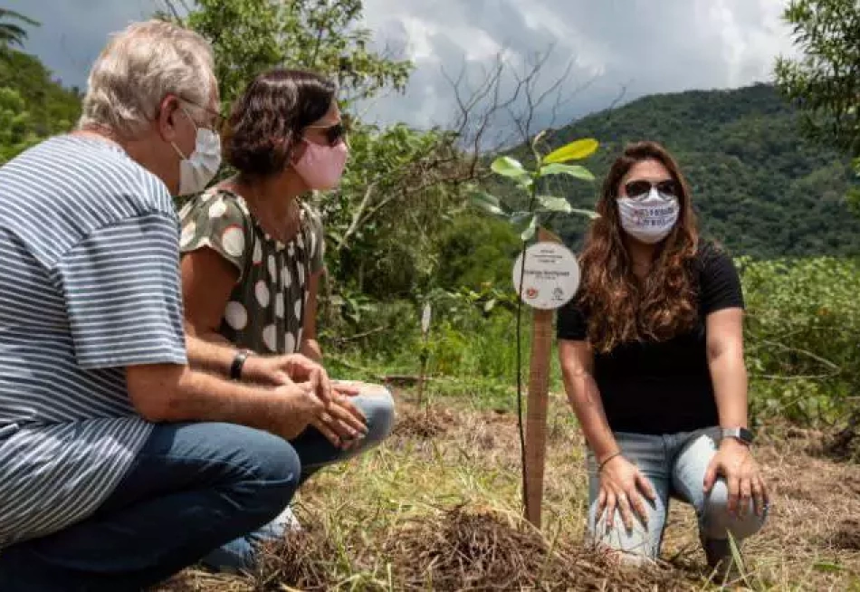 Projeto "Bosques da memória" vai plantar uma árvore para cada vítima da Covid-19 no Brasil