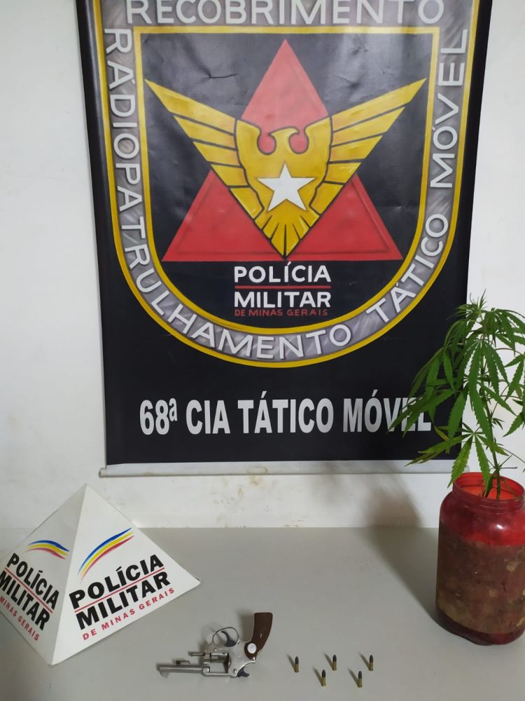 Rapaz é preso em Nova Serrana com arma de fogo e um pé de maconha