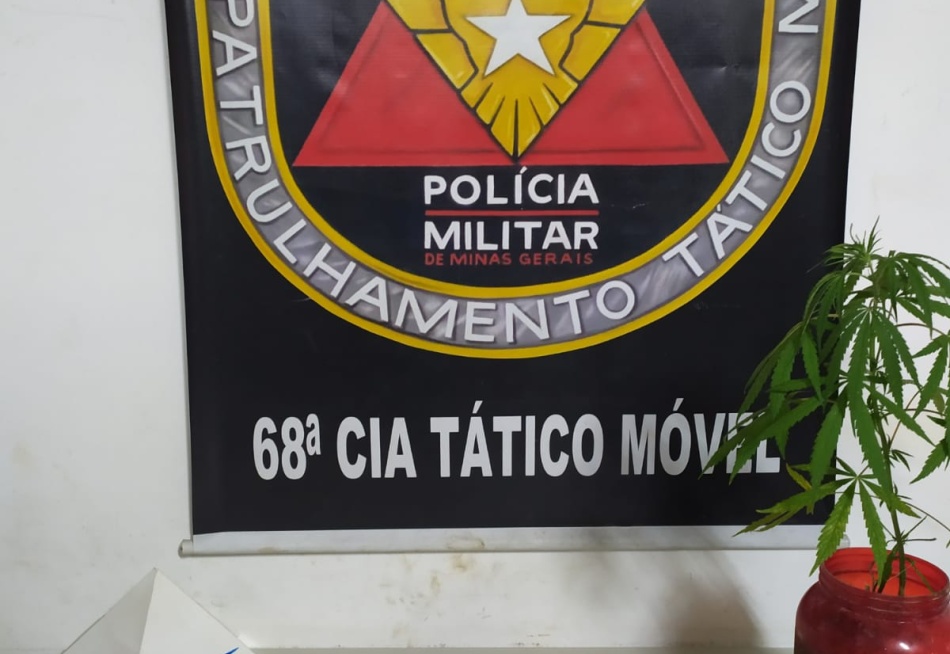 Rapaz é preso em Nova Serrana com arma de fogo e um pé de maconha
