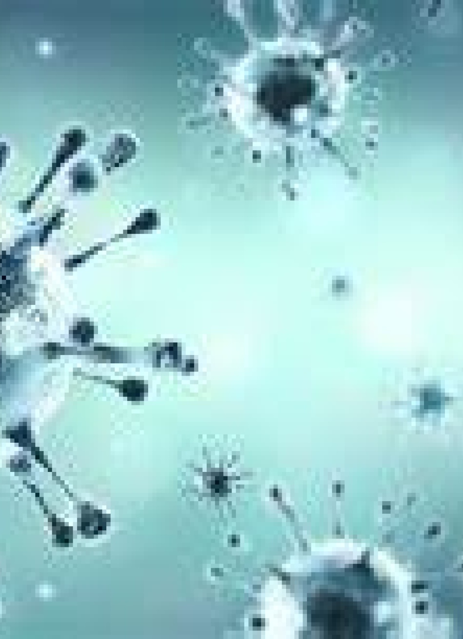 Pará de Minas registrou 16 novos casos confirmados da Covid-19 nesta segunda-feira