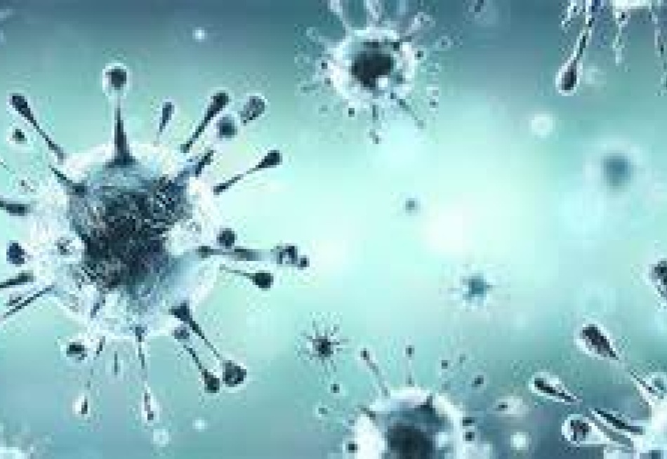 Pará de Minas registrou 16 novos casos confirmados da Covid-19 nesta segunda-feira