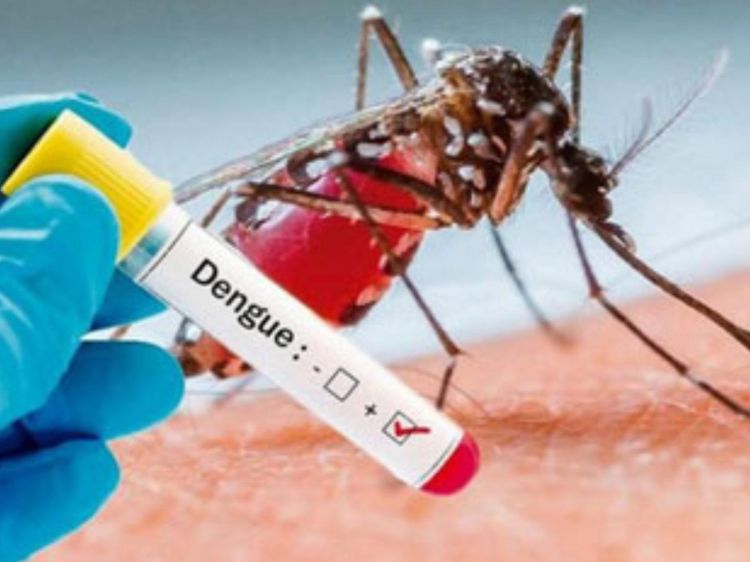 Pará de Minas aparece entre os municípios com mais incidência de casos suspeitos da dengue em Minas Gerais