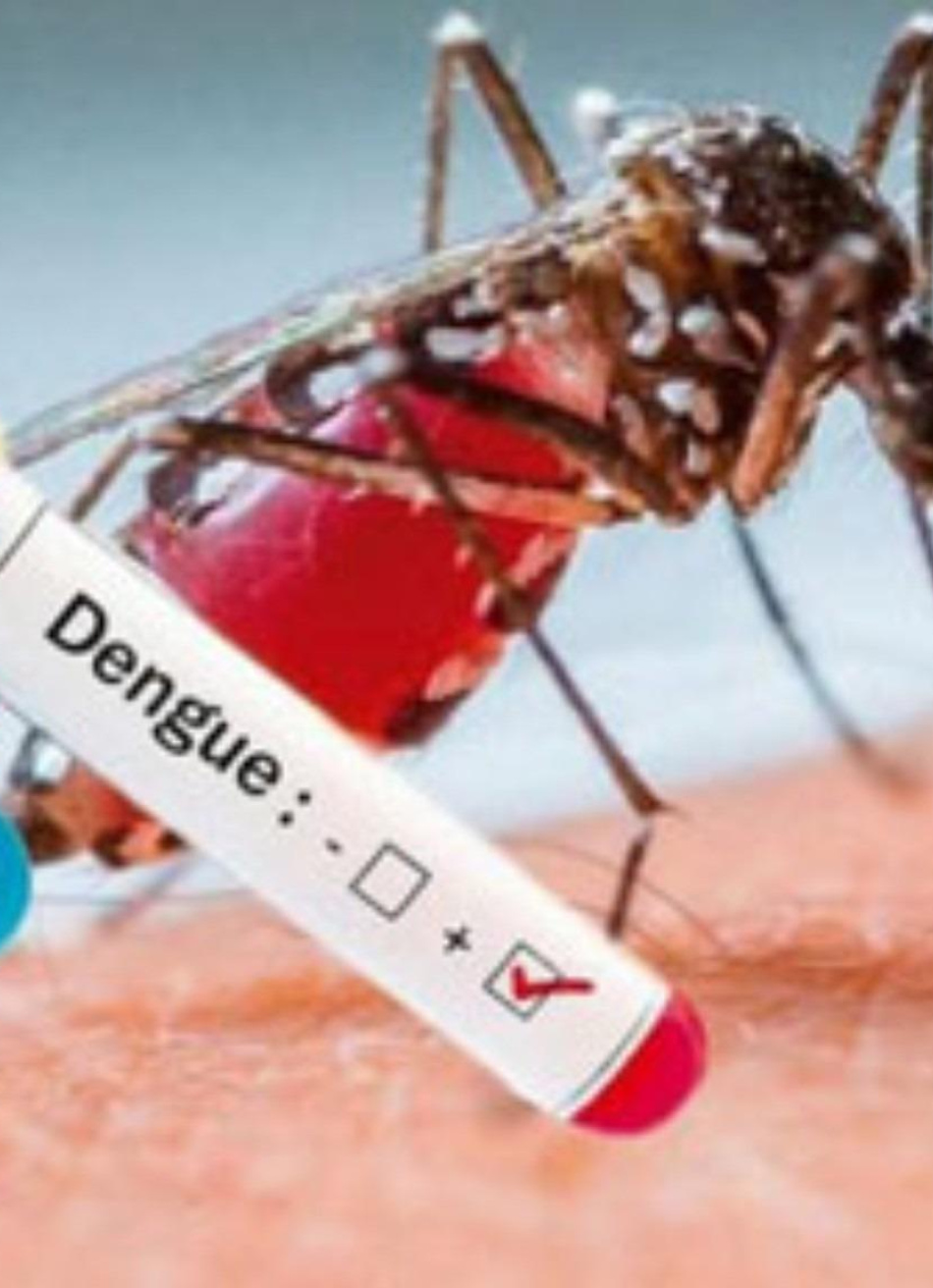 Pará de Minas aparece entre os municípios com mais incidência de casos suspeitos da dengue em Minas Gerais