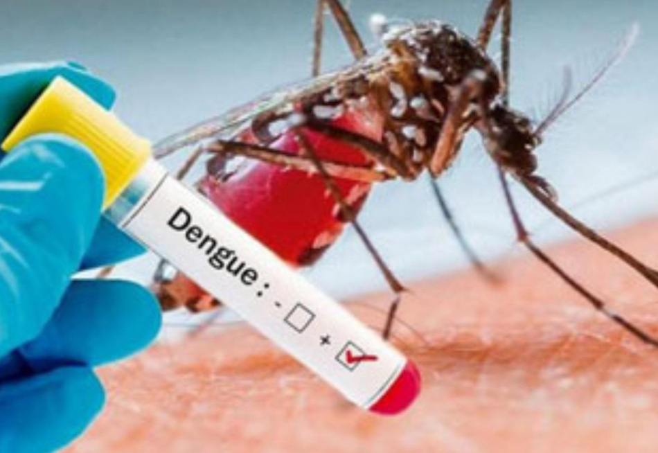 Pará de Minas aparece entre os municípios com mais incidência de casos suspeitos da dengue em Minas Gerais