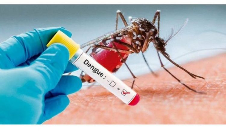 Prefeitura de Pará de Minas começa a definir estratégias para o combate à dengue na época de intenso calor e de proximidade do período de chuvas