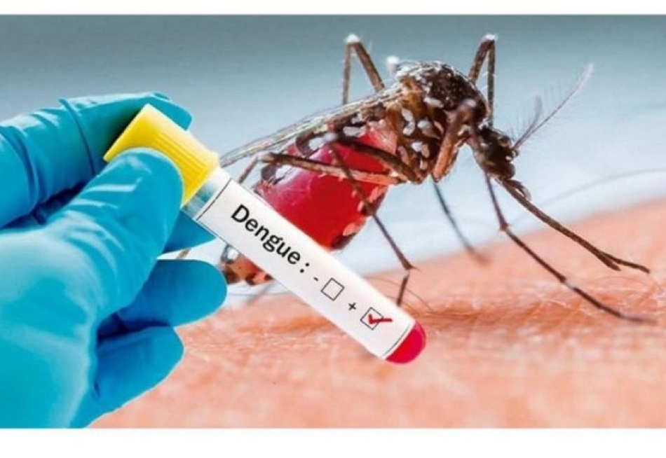 Prefeitura de Pará de Minas começa a definir estratégias para o combate à dengue na época de intenso calor e de proximidade do período de chuvas