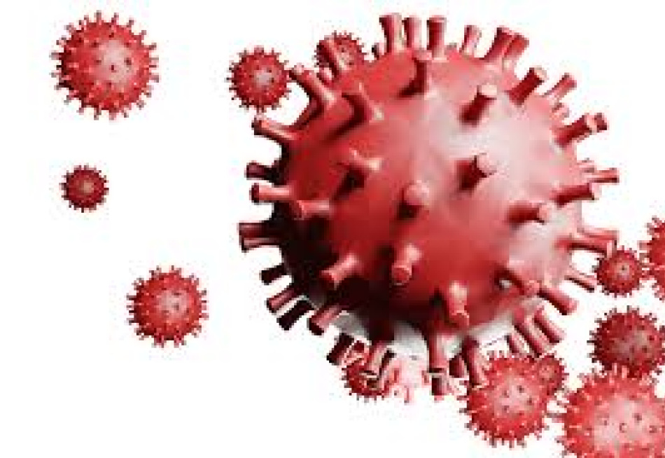 Minas Gerais voltou a ter alta no número de casos confirmados da Covid-19 nas últimas 24 horas