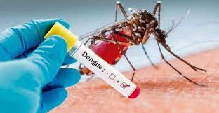 Secretaria de Estado de Saúde atualiza números da dengue em Minas Gerais e Pará de Minas aparece em segundo lugar entre as cidades do Centro-Oeste