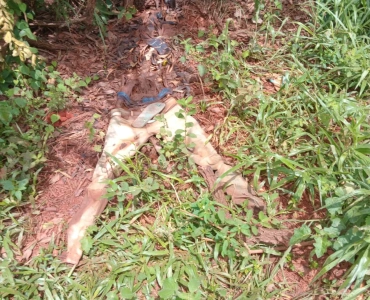 Trabalhador rural, encontra ossada humana em Papagaios.