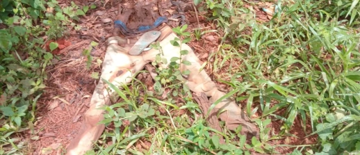 Trabalhador rural, encontra ossada humana em Papagaios.