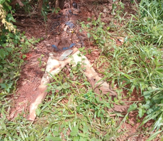 Trabalhador rural, encontra ossada humana em Papagaios.