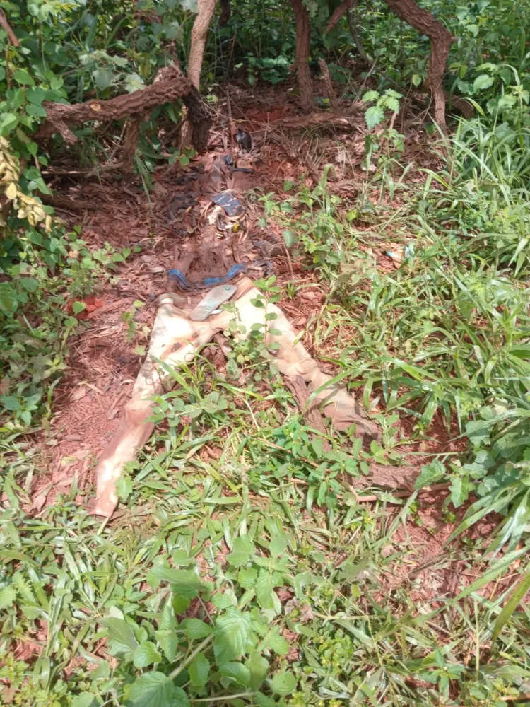 Trabalhador rural, encontra ossada humana em Papagaios.