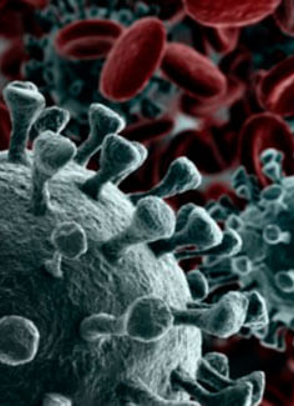 Minas Gerais superou nesta sexta-feira a marca de 37 mil mortes pela Covid-19