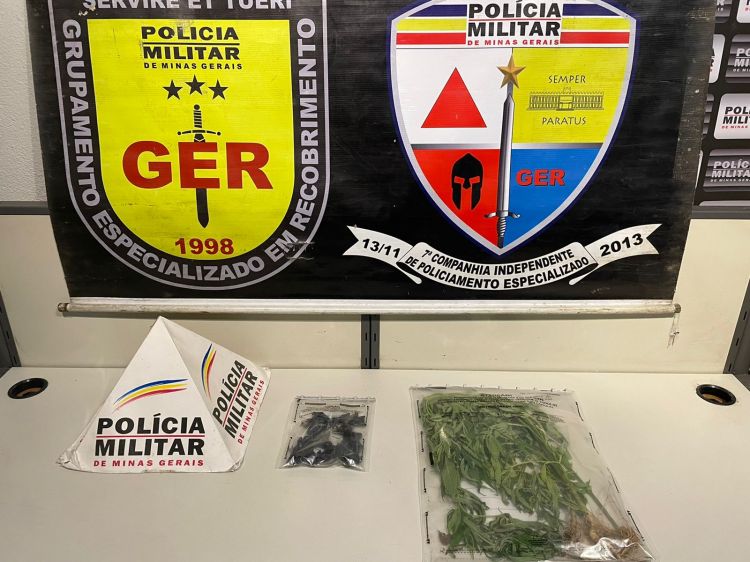 Adolescente é apreendido em Divinópolis com três pés de maconha