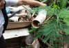 Governo de Minas Gerais mobiliza todo o estado para o Dia D de combate ao mosquito Aedes aegypti