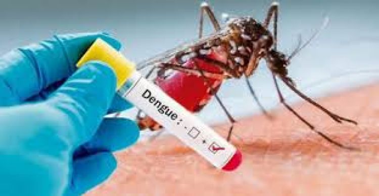 Primeiro LIRAa de Pará de Minas indicou que 5.4% dos imóveis estão infectados pelo mosquito da dengue