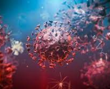 Pará de Minas encerra o mês de junho com 5.546 casos confirmados e 235 mortes pela Covid-19