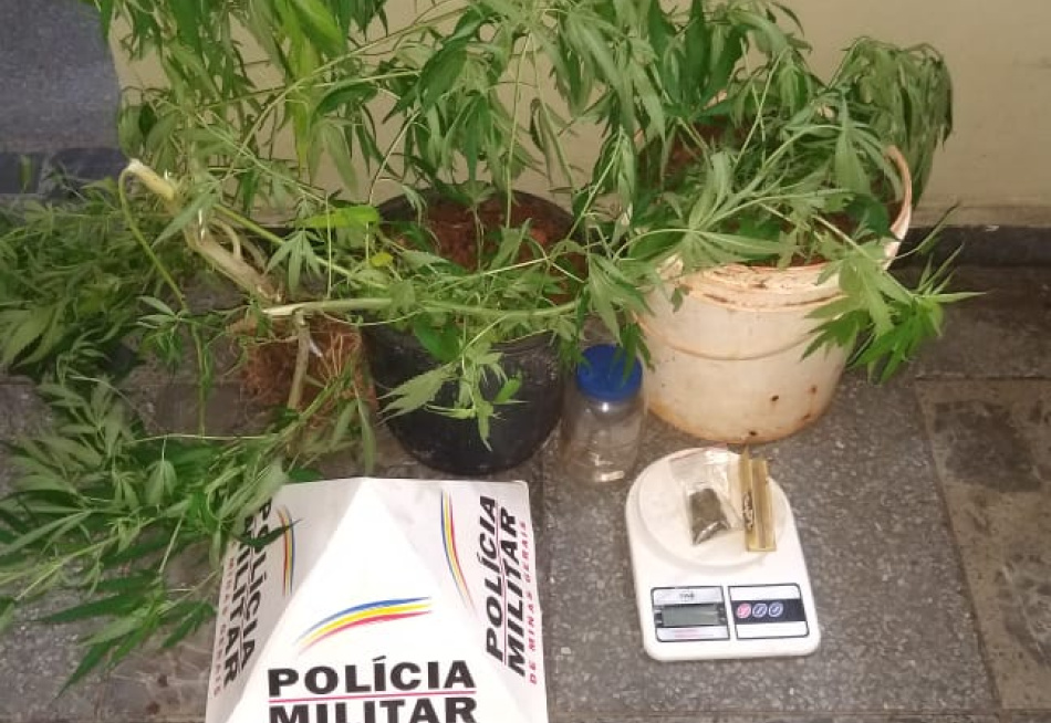 Homem é preso no bairro São Paulo, em Pará de Minas, por tráfico de drogas