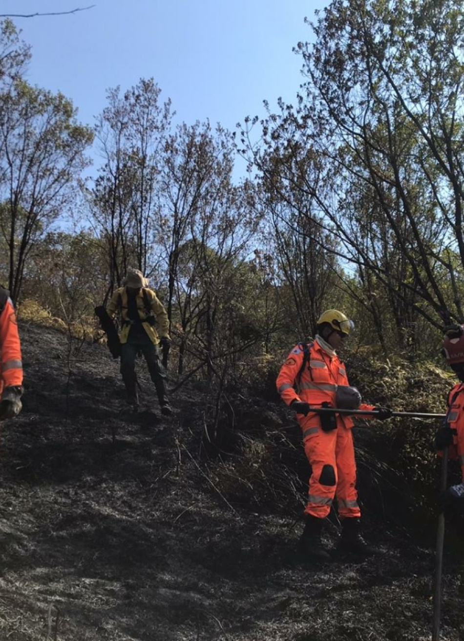 CBMMG destaca que conscientização da população é fundamental para reduzir número de queimadas
