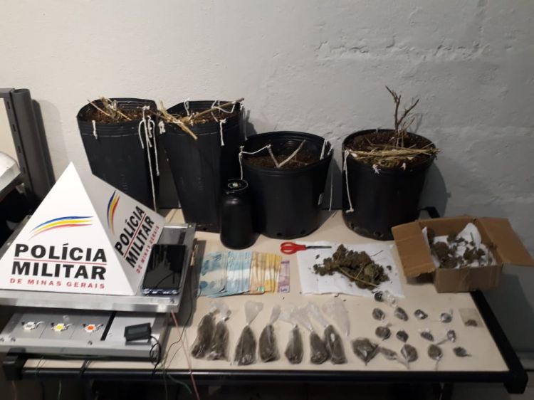 Polícia Militar estourou local de plantio e preparo de maconha em Divinópolis