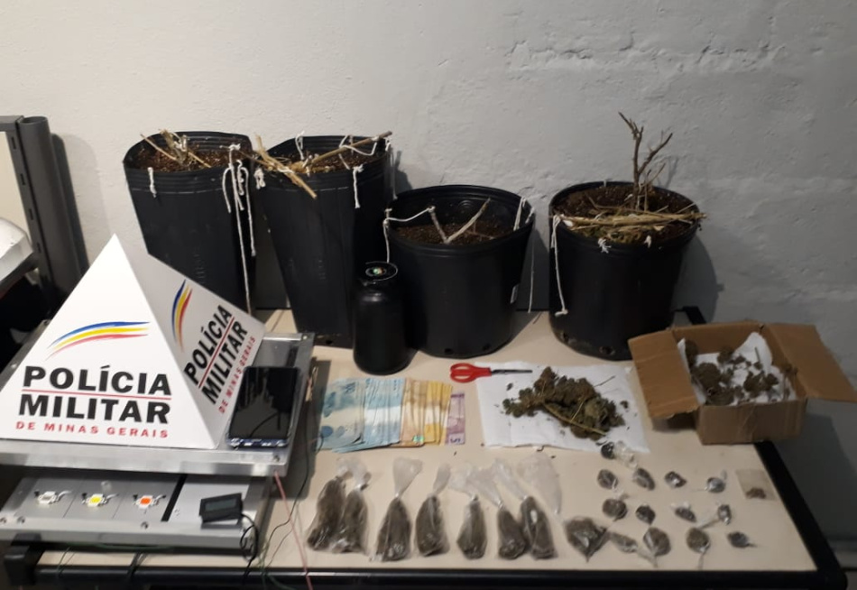 Polícia Militar estourou local de plantio e preparo de maconha em Divinópolis