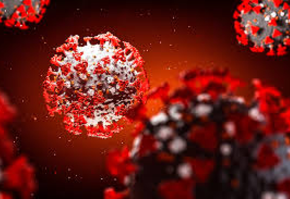 Minas Gerais registrou 62 mortes pela Covid-19 nas últimas 24 horas