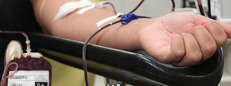 Dia Nacional do Doador de Sangue é comemorado nesta quinta-feira