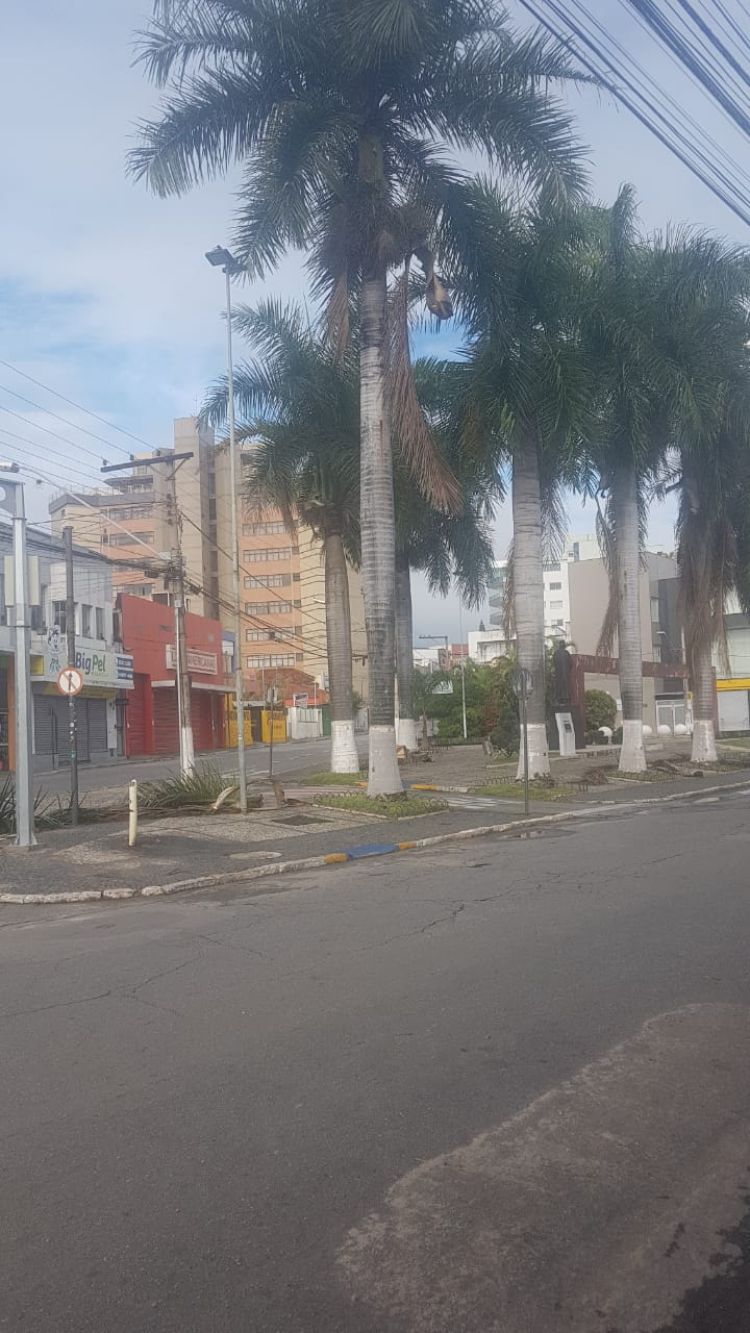 Tempestade causou transtornos para a população de Pará de Minas e muitas árvores foram derrubadas