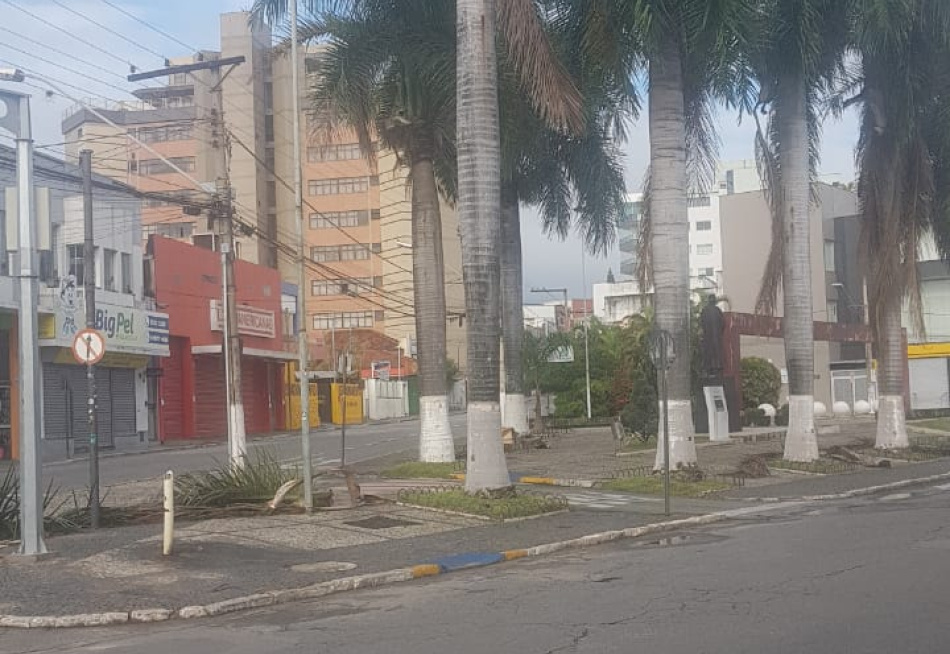 Tempestade causou transtornos para a população de Pará de Minas e muitas árvores foram derrubadas