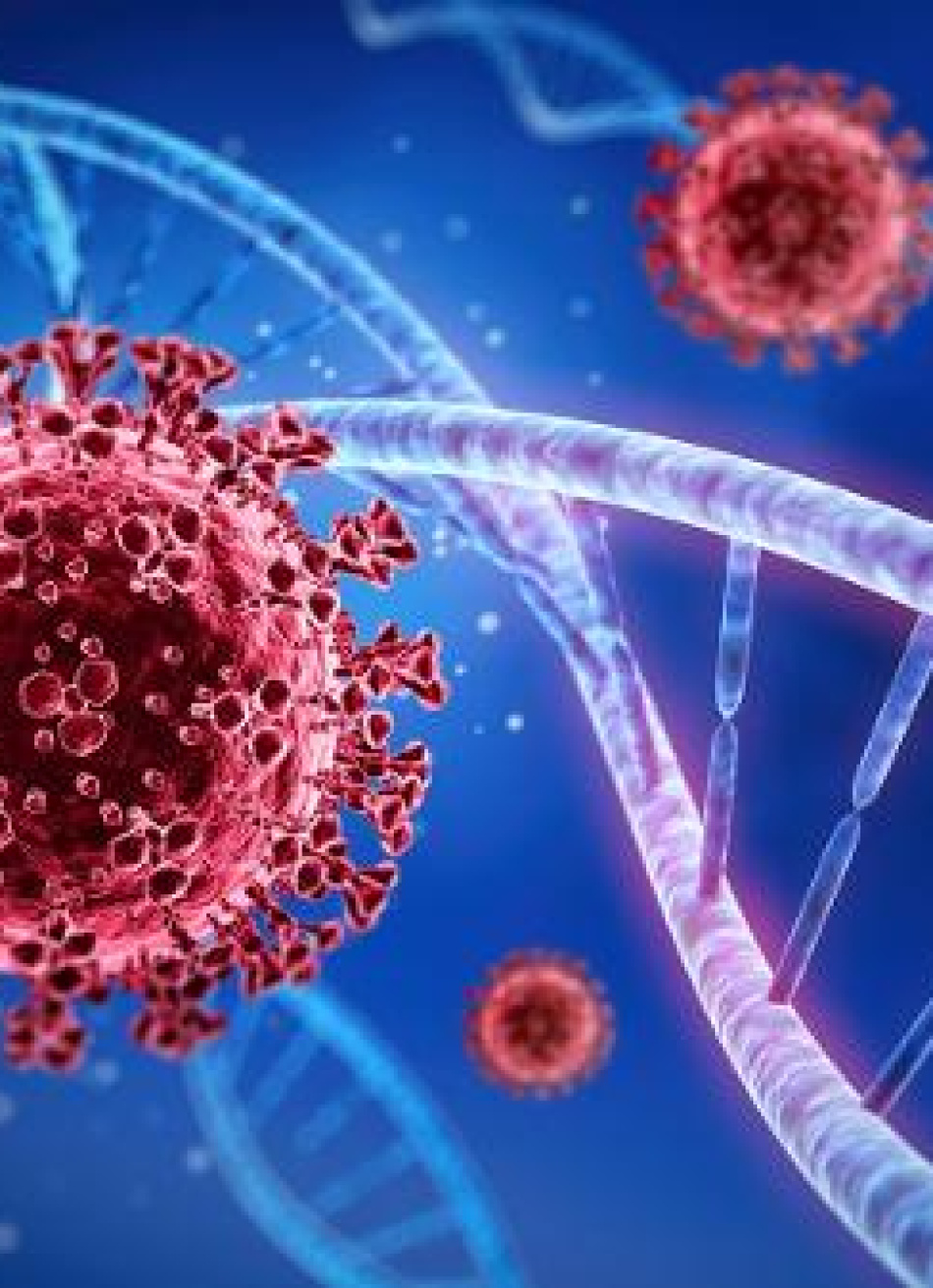 Minas Gerais superou a marca de 20 mil mortes pela Covid-19