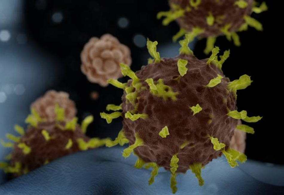 Minas Gerais registrou 1.616.876 casos confirmados da Covid-19 desde o início da pandemia